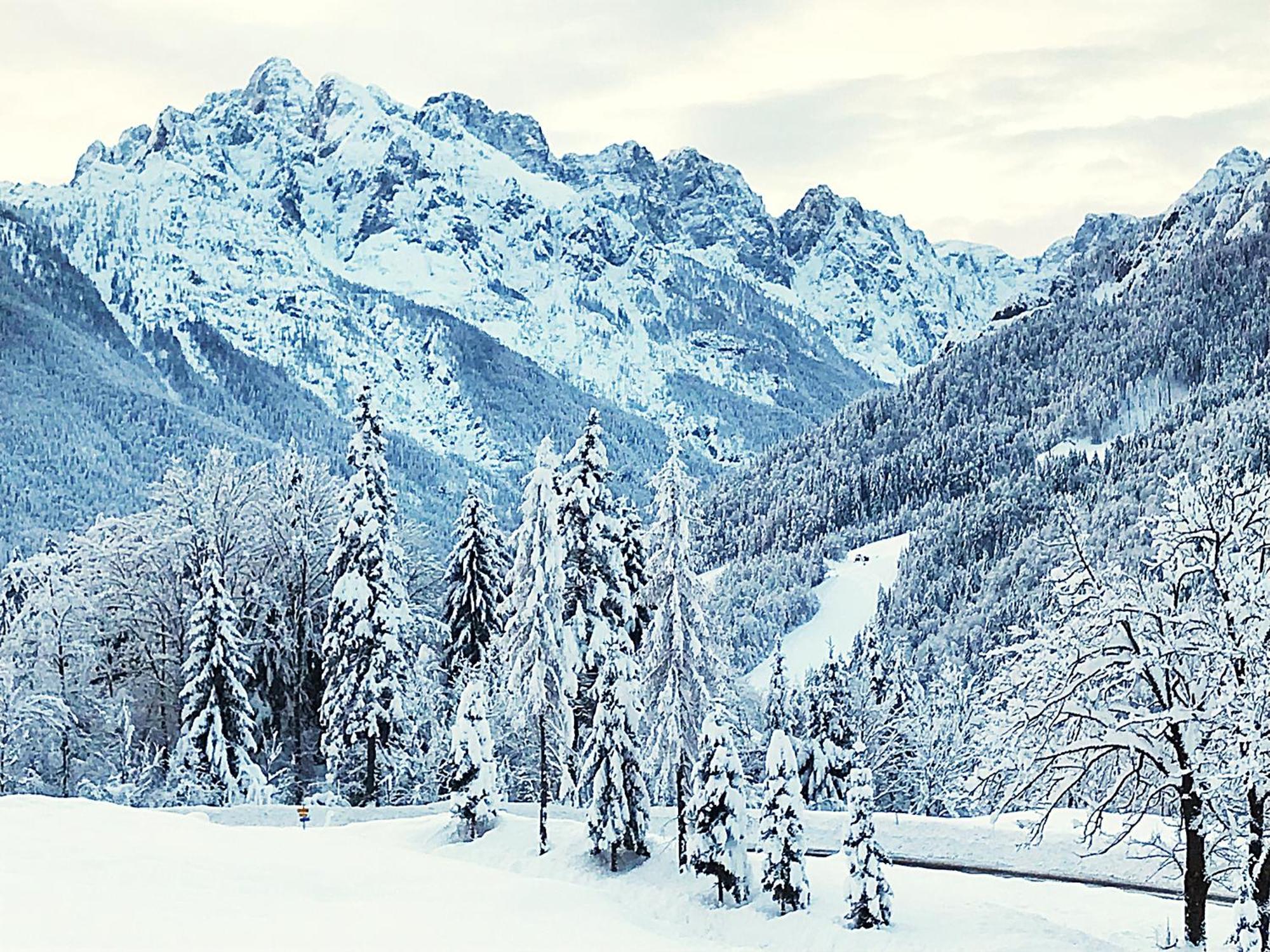 Boutique B&B Pr' Gavedarjo Kranjska Gora Eksteriør billede